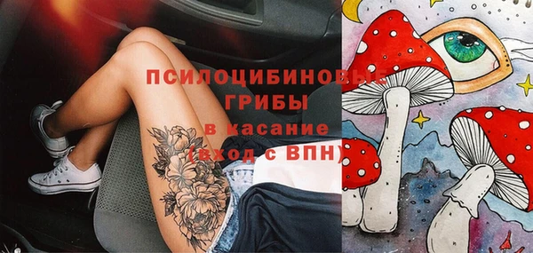 mdpv Белокуриха