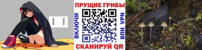 Галлюциногенные грибы мухоморы Каменск-Уральский